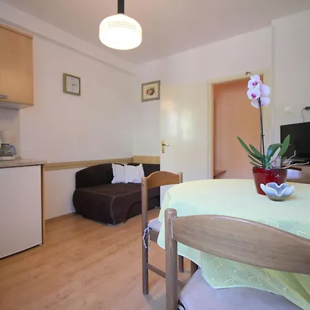 Radojka Mit Grill In Altstadtnaehe Appartement